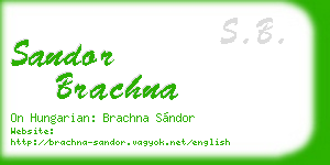 sandor brachna business card
